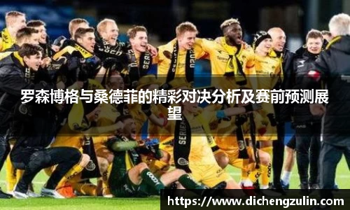 罗森博格与桑德菲的精彩对决分析及赛前预测展望